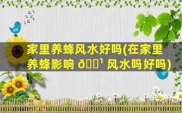 家里养蜂风水好吗(在家里养蜂影响 🌹 风水吗好吗)
